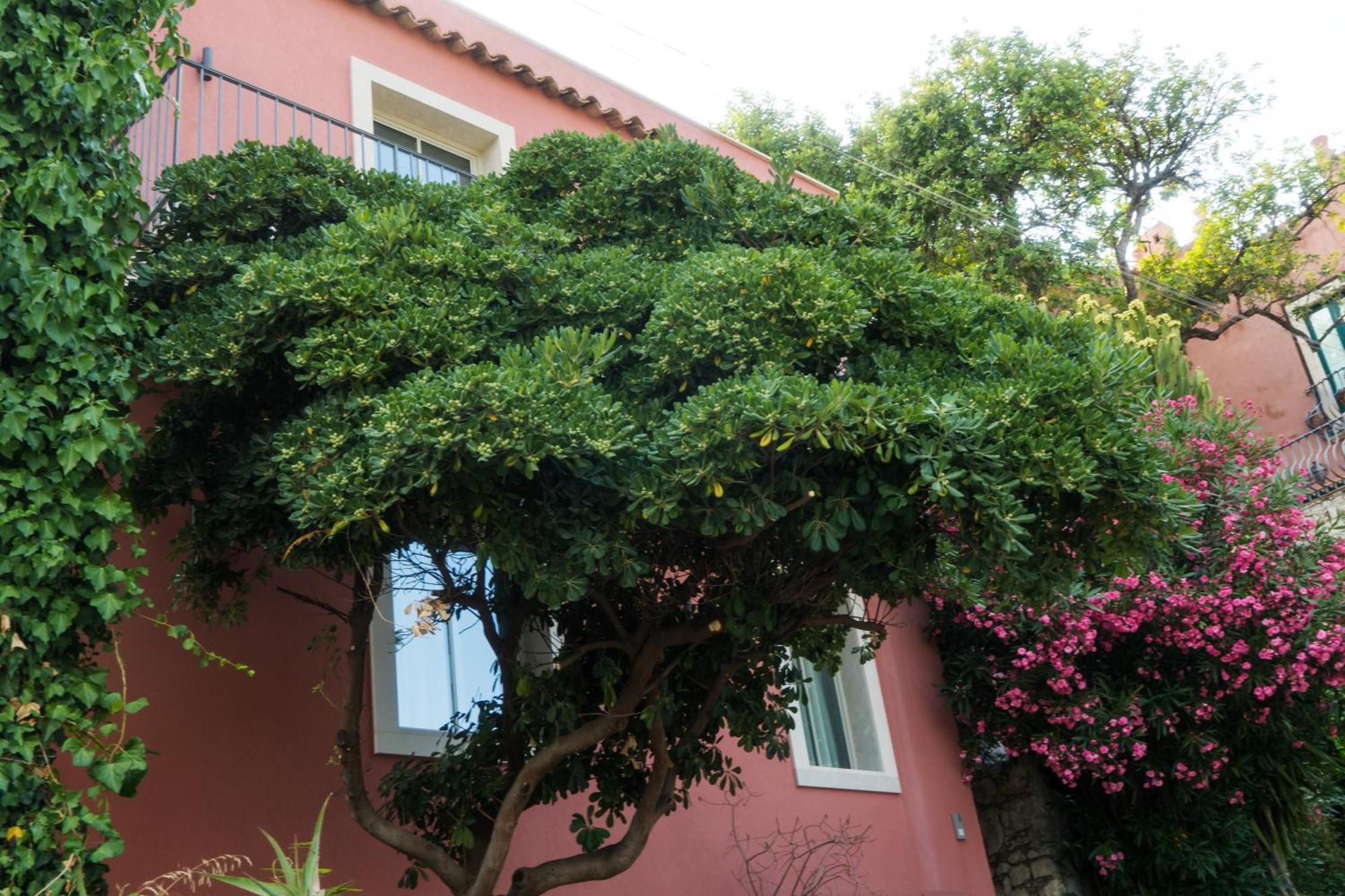 The Charming House Διαμέρισμα Ταορμίνα Εξωτερικό φωτογραφία